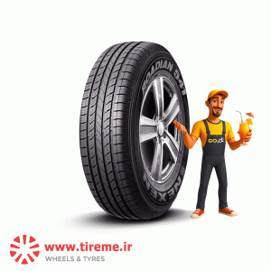 لاستیک نکسن کره سایز 225/75R16 گل ROADIAN 541